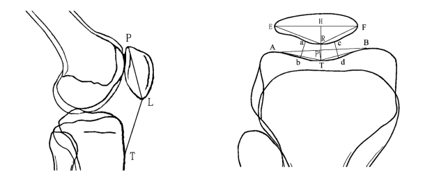 pagenumber_ebook=79,pagenumber_book=61