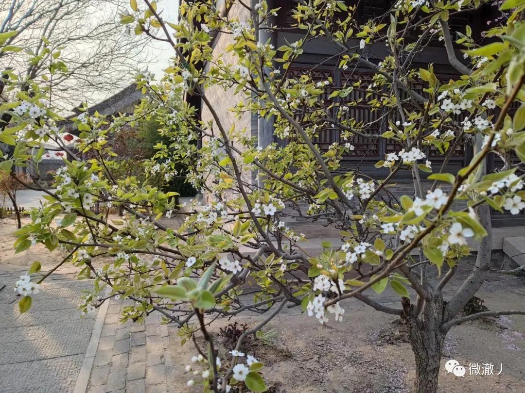 微信图片_20210406105856