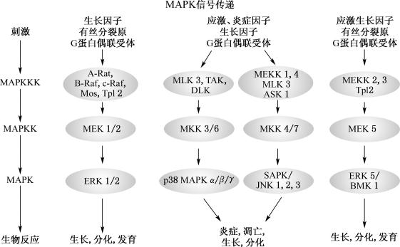 width=488,height=302,dpi=110