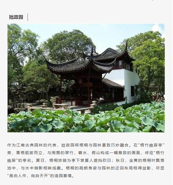 image.png?v=1766278521081