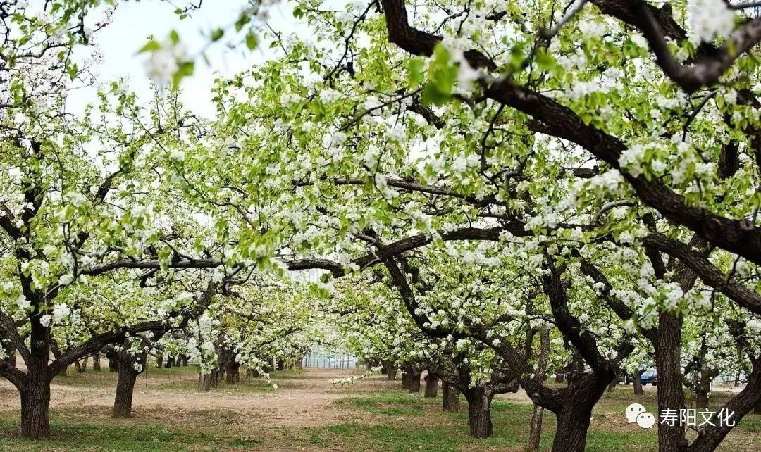 640 (10) 640 (10).jpg