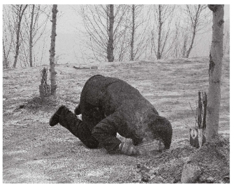 pagenumber_ebook=261,pagenumber_book=255