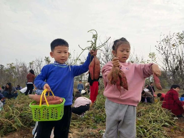 图片 11 图片 11.png