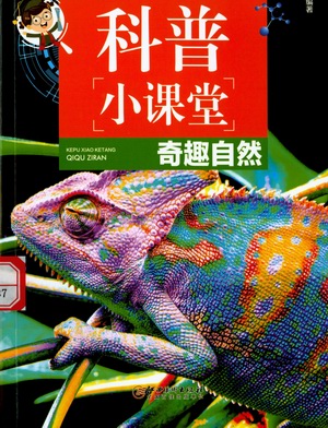 图像 (21) 图像 (21).jpg?v=1764819023511