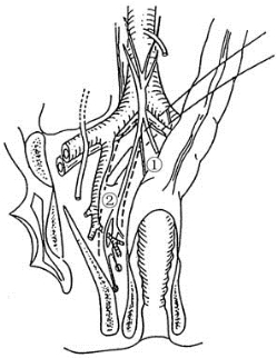 pagenumber_ebook=209,pagenumber_book=194