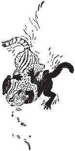 pagenumber_ebook=27,pagenumber_book=19