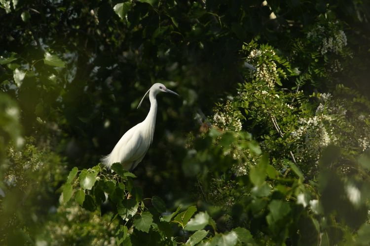 微信图片_20210506094920