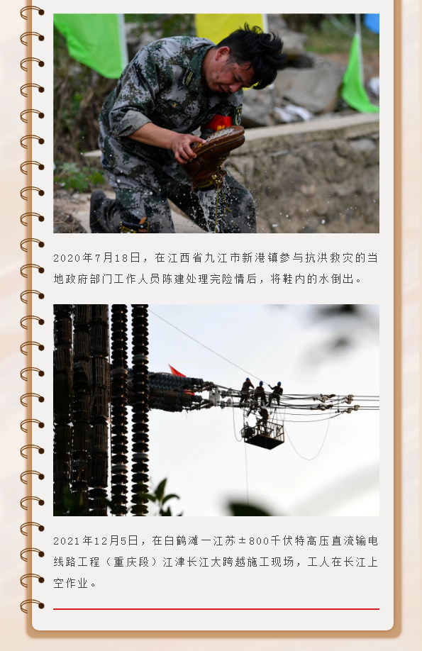 image.png?v=1754275724365
