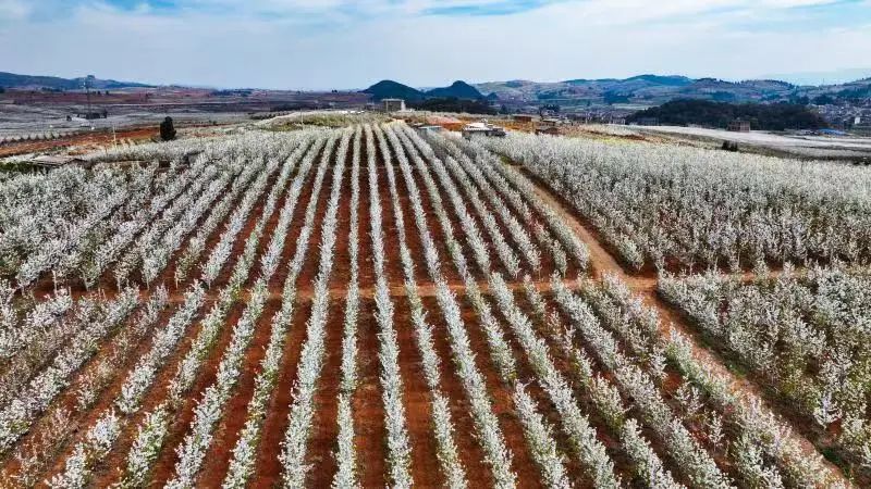 fec5ea40d5265e9a53783a686aa335f5 fec5ea40d5265e9a53783a686aa335f5.jpg