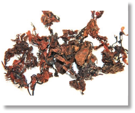 pagenumber_ebook=213,pagenumber_book=200