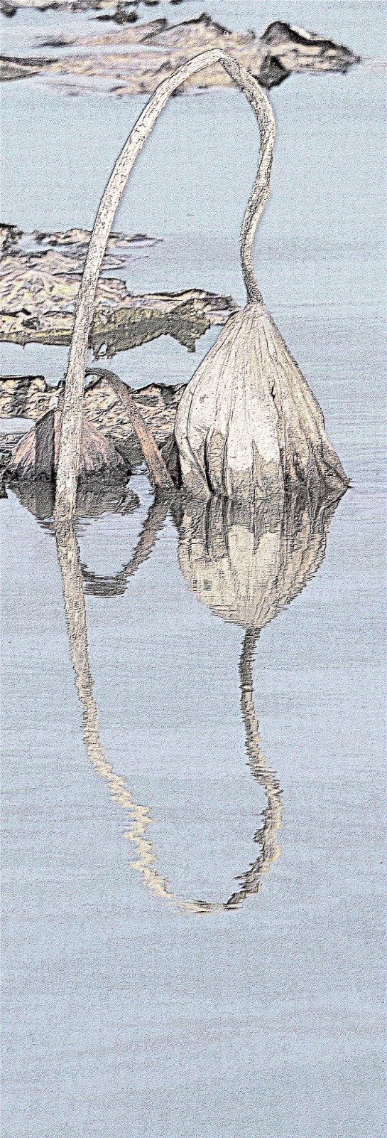 清气依旧雕铁骨 王祥领 (6)