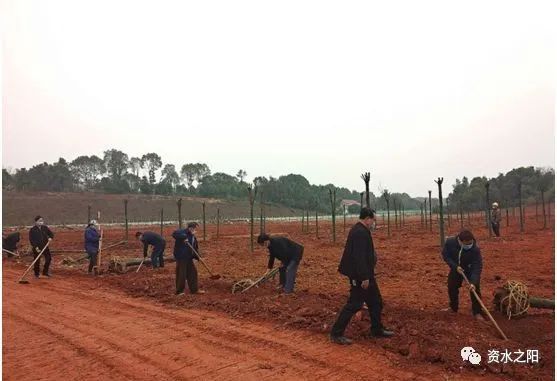 1 1.jpg?v=1766030217260