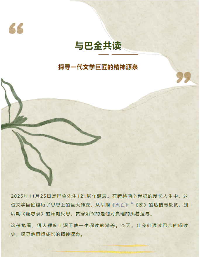 image.png?v=1766278433079