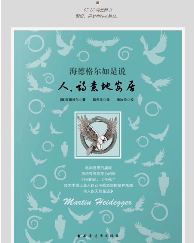 image image.png?v=1763563271777