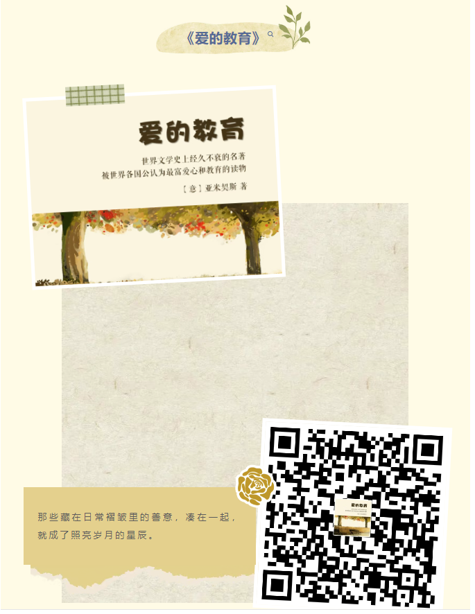 image.png?v=1757826451902
