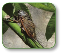 pagenumber_ebook=29,pagenumber_book=16