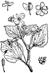 pagenumber_ebook=207,pagenumber_book=207