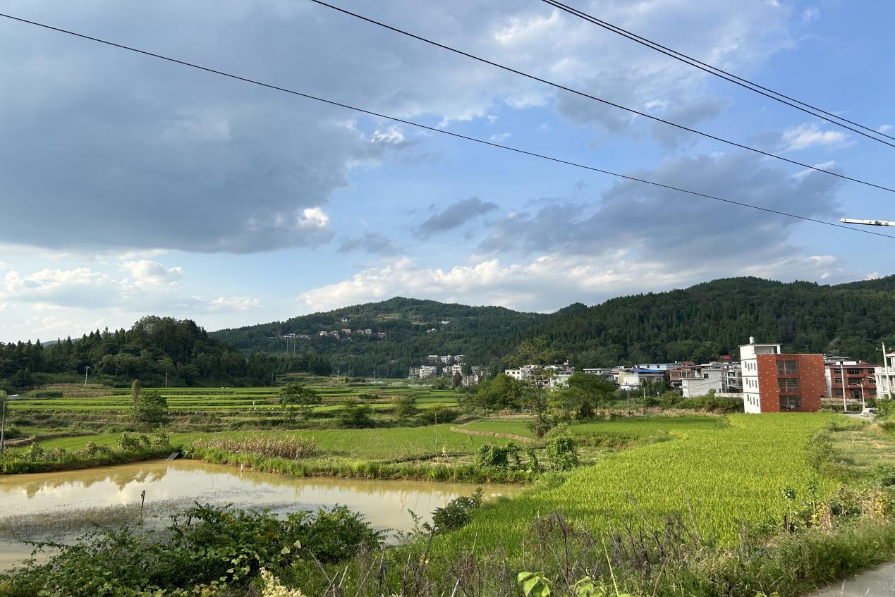 wps_doc_8 wps_doc_8.jpeg