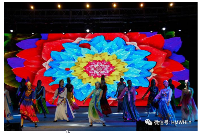 Lily_1600268110 Lily_1600268110.png