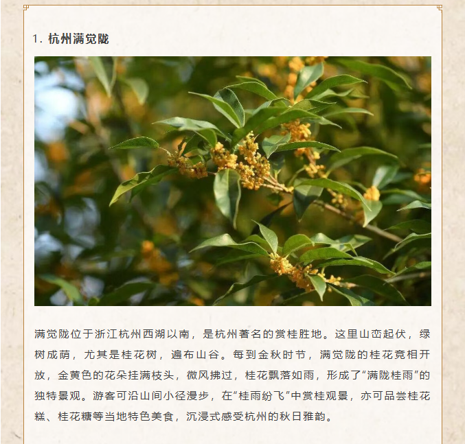 image.png?v=1762099910466