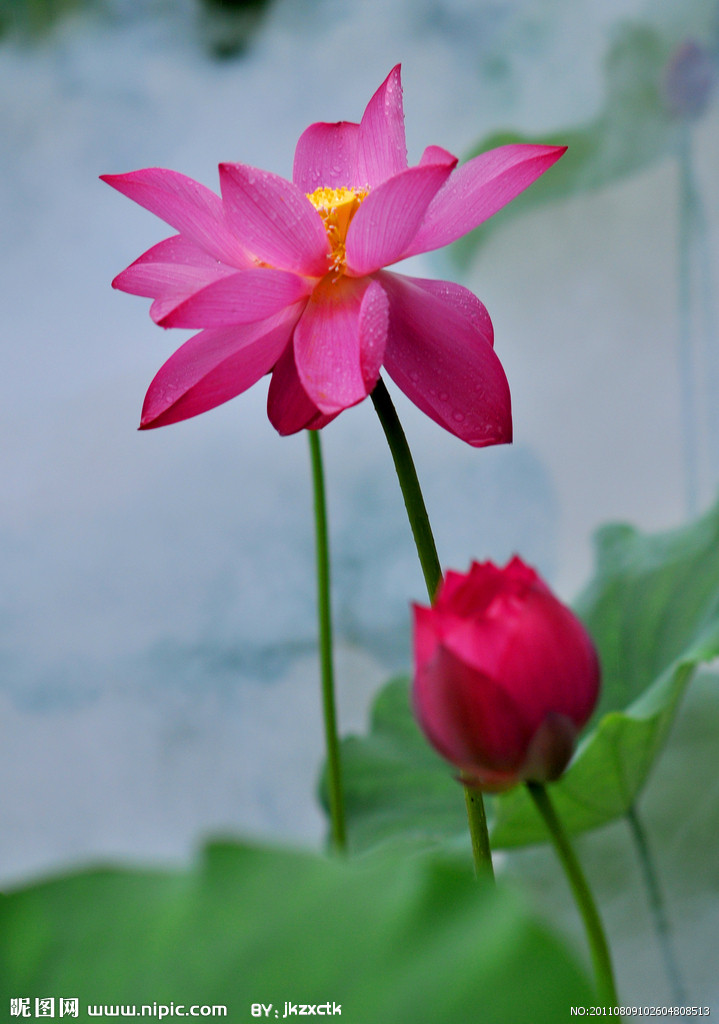 image01