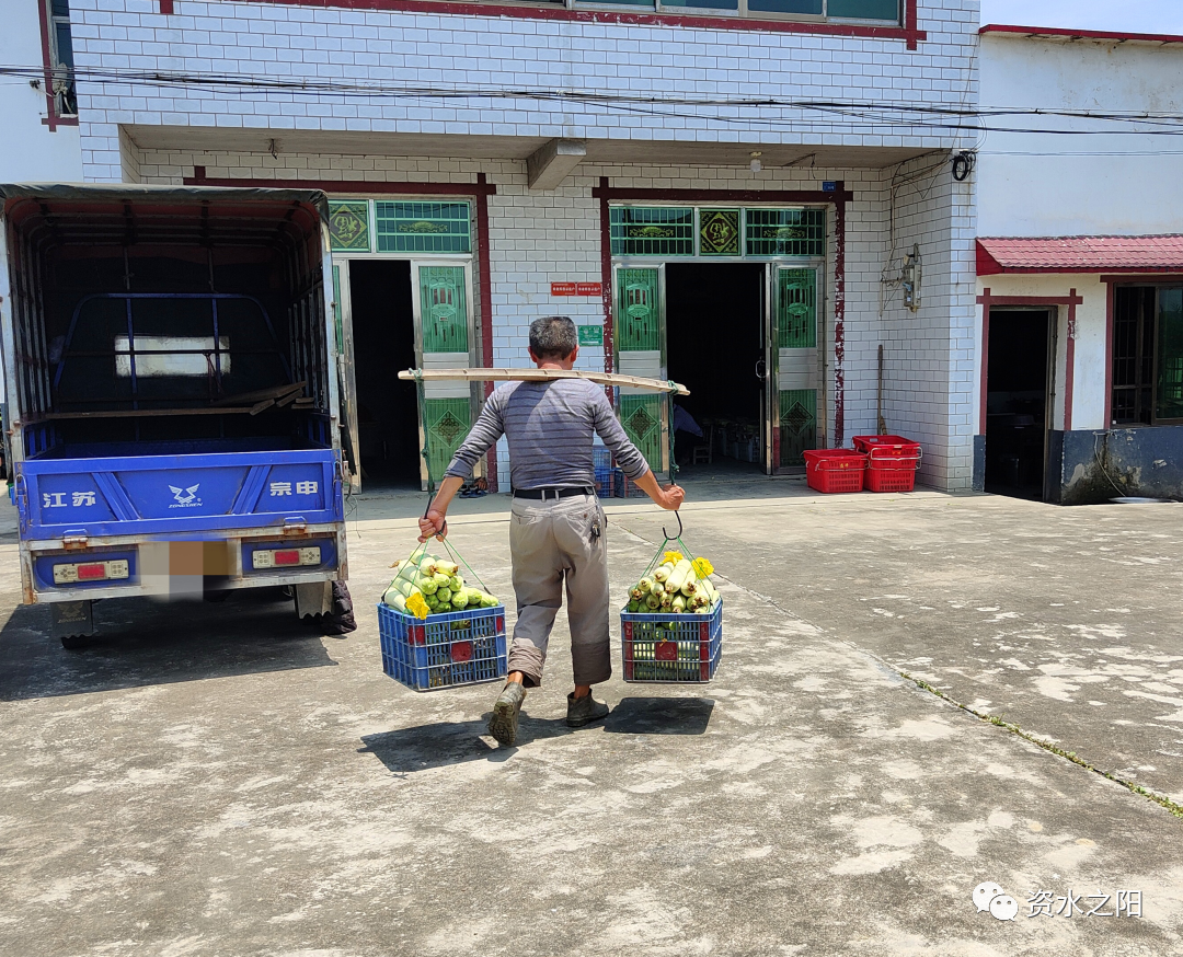 3 3.png?v=1765771807380