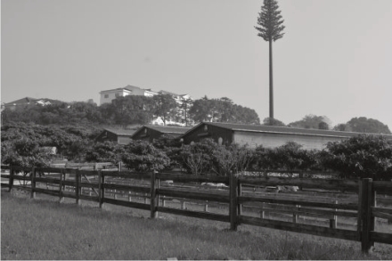 pagenumber_ebook=113,pagenumber_book=55