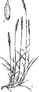 pagenumber_ebook=251,pagenumber_book=251