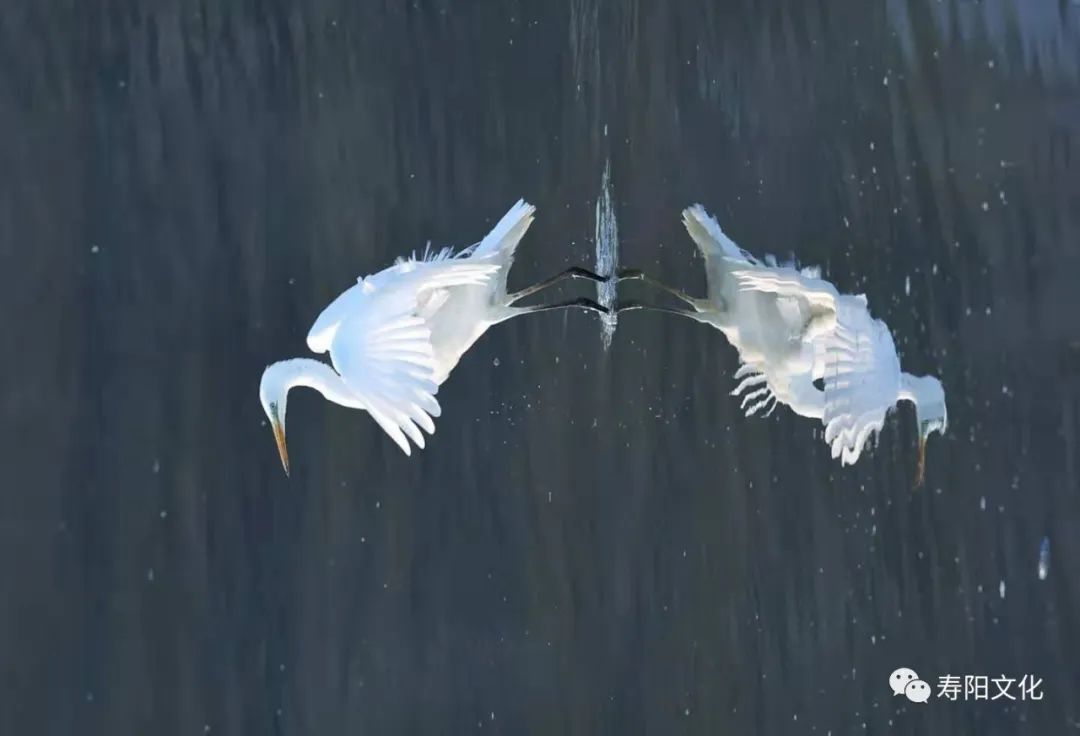 微信图片_20221009095421