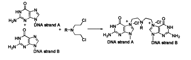 pagenumber_ebook=362,pagenumber_book=344