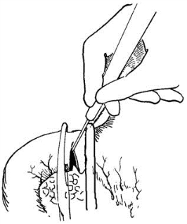 pagenumber_ebook=361,pagenumber_book=346