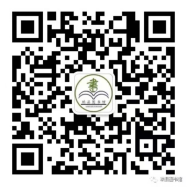 image image.png?v=1765677243107