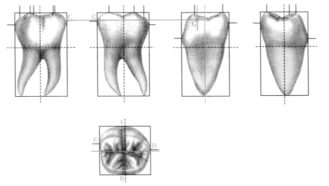 pagenumber_ebook=190,pagenumber_book=181