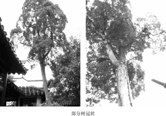 pagenumber_ebook=144,pagenumber_book=144