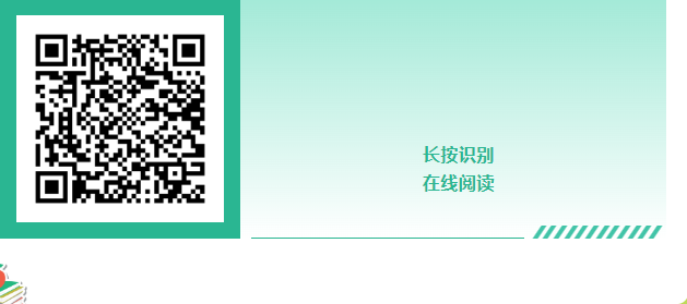 image image.png?v=1763548597896