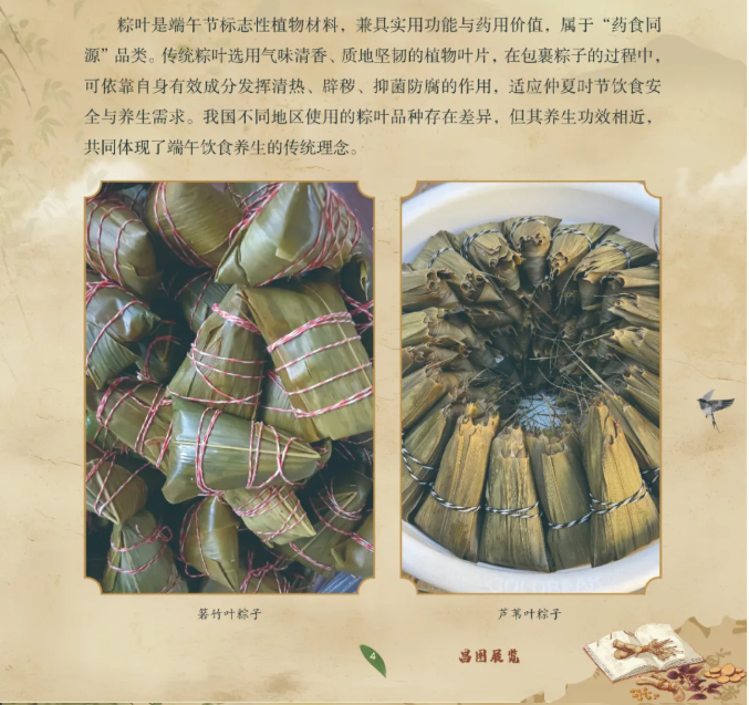 image.png?v=1782174181266