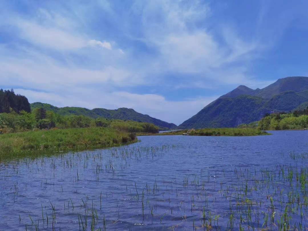 6cfc538a1d4c58788ddc472a2d8a8b5 6cfc538a1d4c58788ddc472a2d8a8b5.jpg?v=1762743078123