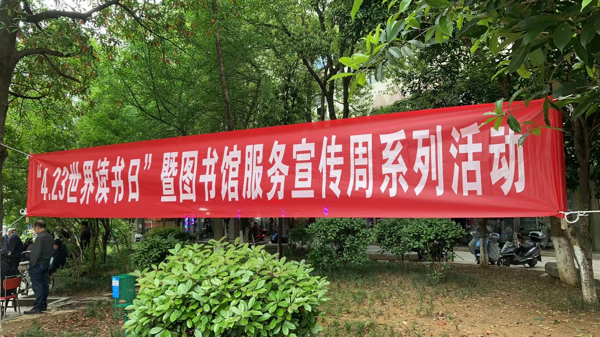 1 1.jpg?v=1765914329568