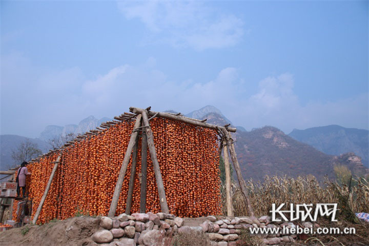 微信图片_20201213104312