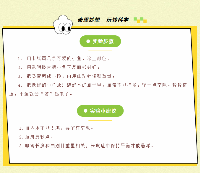 image.png?v=1780812957569