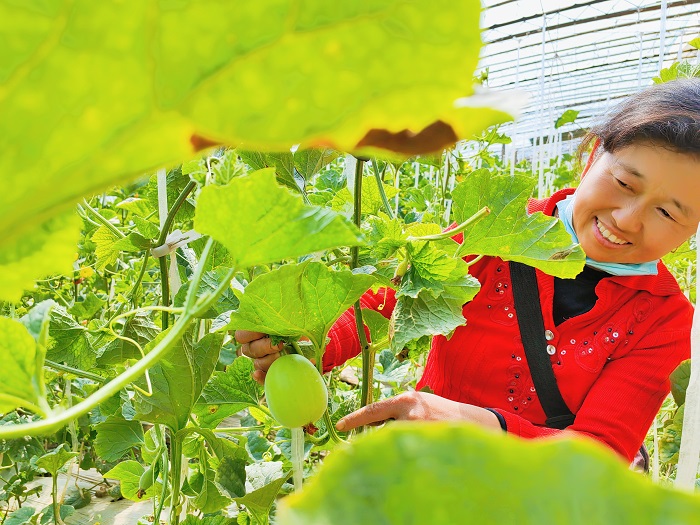 幸福生活 双手创造2