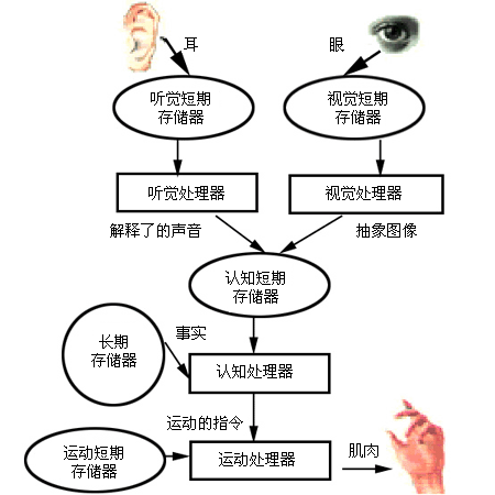 课程门户-章节详情