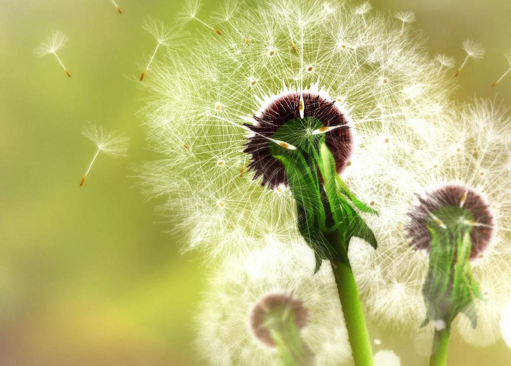 用爱唤醒学生沉睡的心灵