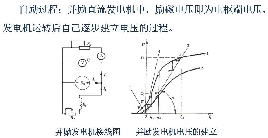 电机必须有剩磁 励磁绕组极性必须正确,即励磁电流建立的磁