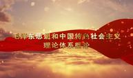 毛泽东思想和中国特色社会主义理论体系概论课程封面