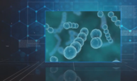 动物微生物与免疫技术课程封面