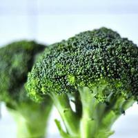 大棚花椰菜青花菜栽培答疑 大棚花椰菜青花菜栽培答疑