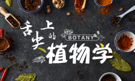 舌尖上的植物学