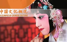 中国文化概况网络课程  粟向课程封面