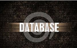 网络数据库技术